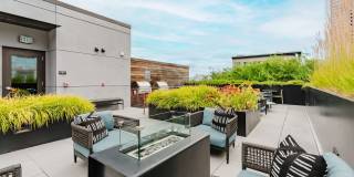 Amara Gallery 26