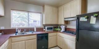4877 Campanile Dr. 4877 Campanile Dr. Gallery 8