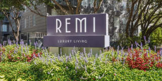 Remi Gallery 28