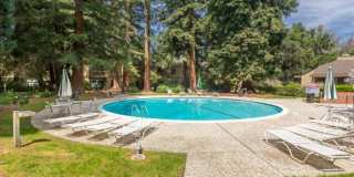 505 Cypress Point Dr Unit 31 505 Cypress Point Dr Unit 31 Gallery 14