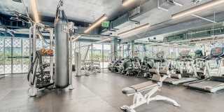 Sentral Wynwood Gallery 20