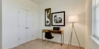 Lee Trace Gallery 8