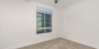 1465 C St Gallery 23