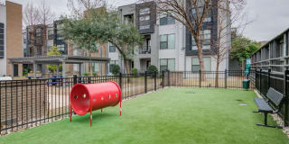 The Henderson Gallery 13