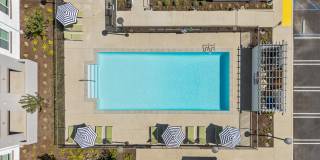 Alta Westwind Gallery 37