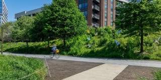 North and Line Apartments Gallery 33