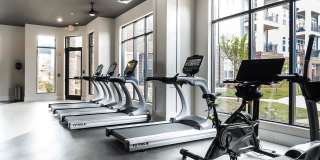 Holly Crest Gallery 12