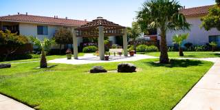 Bay Laurel Gallery 10