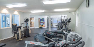 Apple Creek Gallery 6