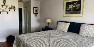 3755 Via Poinciana Gallery 12