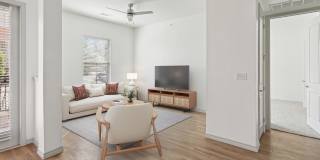 Terra Lago Gallery 4