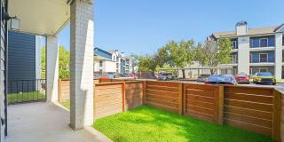 Derby at Steeplechase Gallery 16