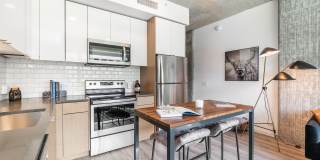 The Rodney Gallery 15