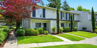 The Grove Luxury Apartments Gallery 42