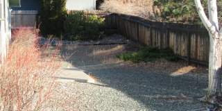 975 Adobe Dr Gallery 11
