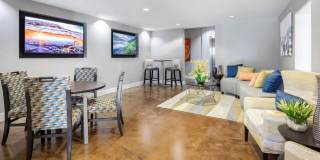 Solara Gallery 30