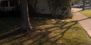 11841 Montecito Gallery 5