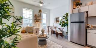 Welcome Canary Gallery 9