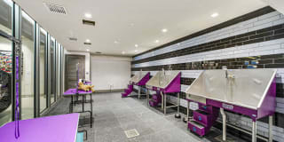 Quantum Flagler Village Quantum Flagler Village Gallery 10