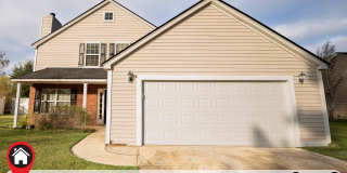 Available Now! Gallery 1