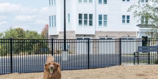 Novel University Place Gallery 27