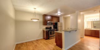 The Retreat Apartments Gallery 42