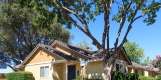 Heather Ridge Gallery 12