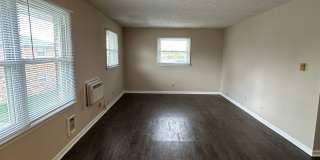 Brendan Wood Gallery 8