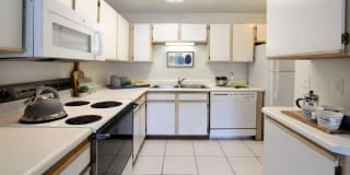 Tanglewood Gallery 3