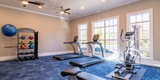 Evergreen Terrace Gallery 15