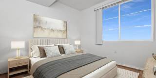 Vineyards Gallery 154