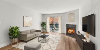 Poplar Glen Gallery 2