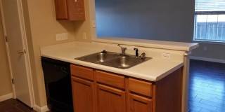 A Spacious Single Story, 3 Bedrooms, 2 Bathrooms Home for rent in East Round Rock, Easy Access to HWY 45 and 130! Gallery 13