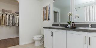 Vineyards Gallery 188