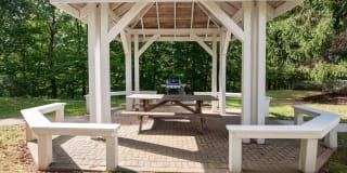 Town Walk at Hamden Hills Gallery 46