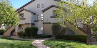 3815 Riviera Grove 3815 Riviera Grove Gallery 1