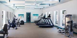 Royal Breeze Gallery 37