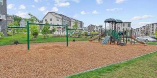 46270 MOUNT ALLEN Terrace Gallery 20