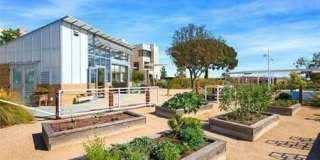 125 Cadence Gallery 10
