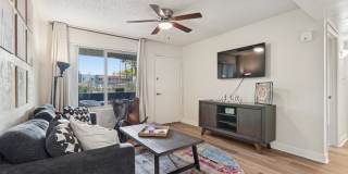 Riviera Park Gallery 8