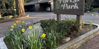 19117 Ballinger Way #202 Gallery 1