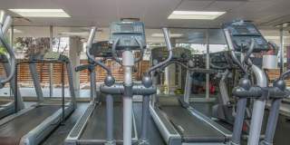 The Wellshire Gallery 27