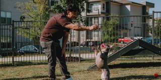 Westloop at the Diamond Interchange Gallery 85