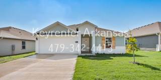 Beautiful, Brand New 4/2 in Gentry! Gallery 1