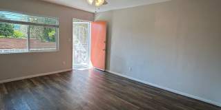 1 Bed/1 Bath in North Park Gallery 3