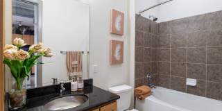 Millennium Waterway Gallery 13