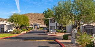 Mountainside Gallery 29