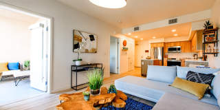 Rising Sun Gallery 45