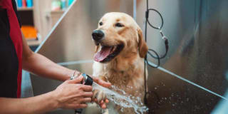 The Station at Malcolm Yards Gallery 21