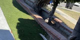 5138 West 141st Street - Studio A Gallery 36